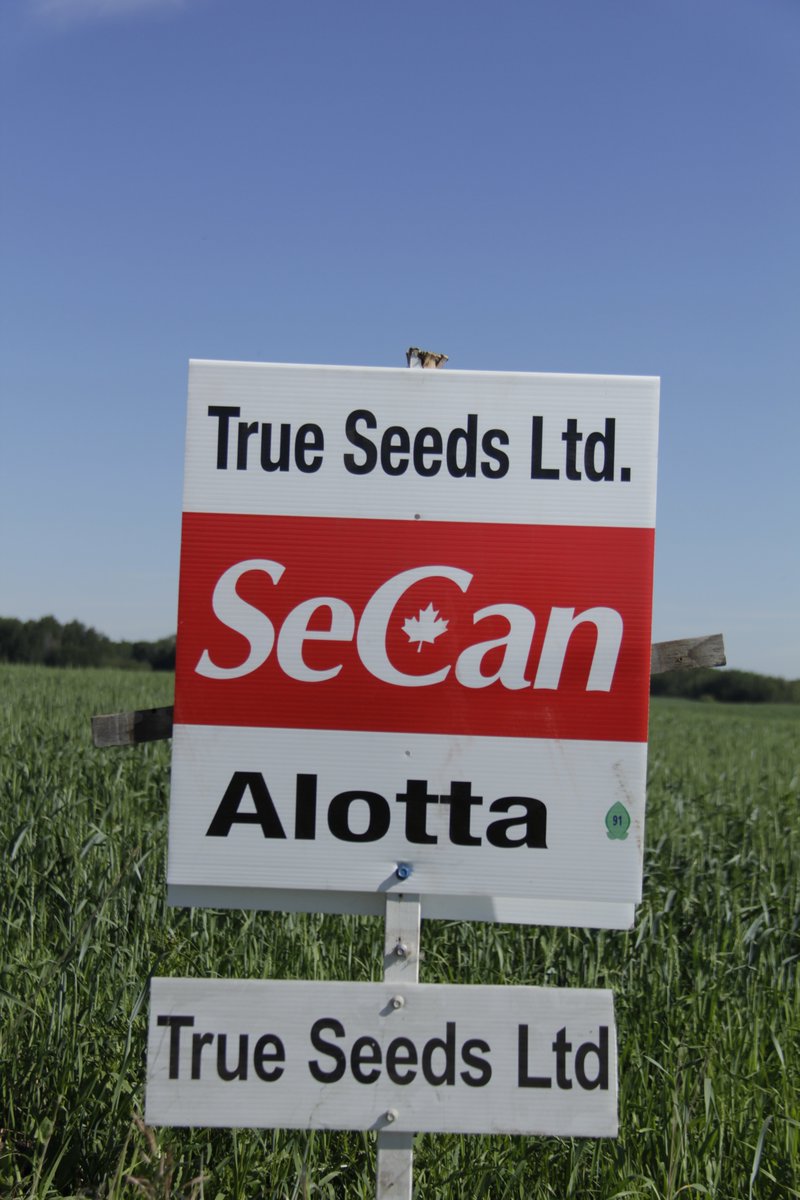 Chelsea and Shane tweet media