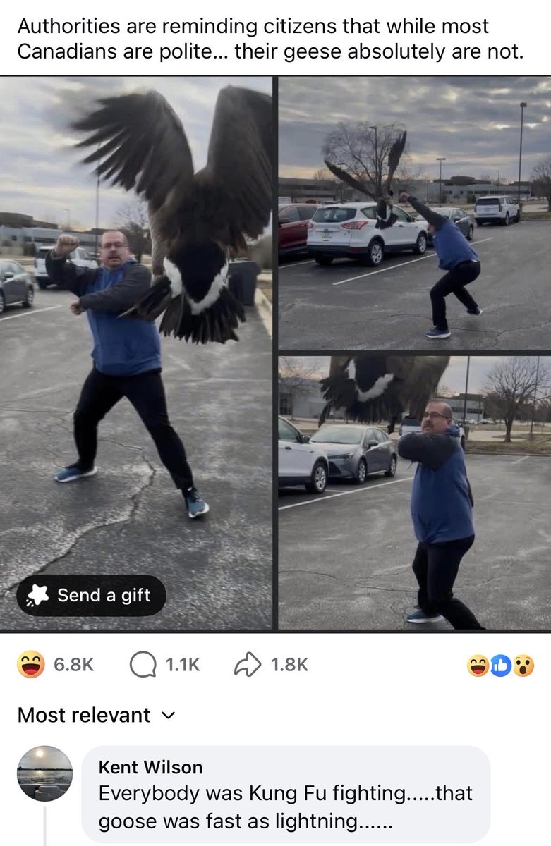 Just Bethany tweet media