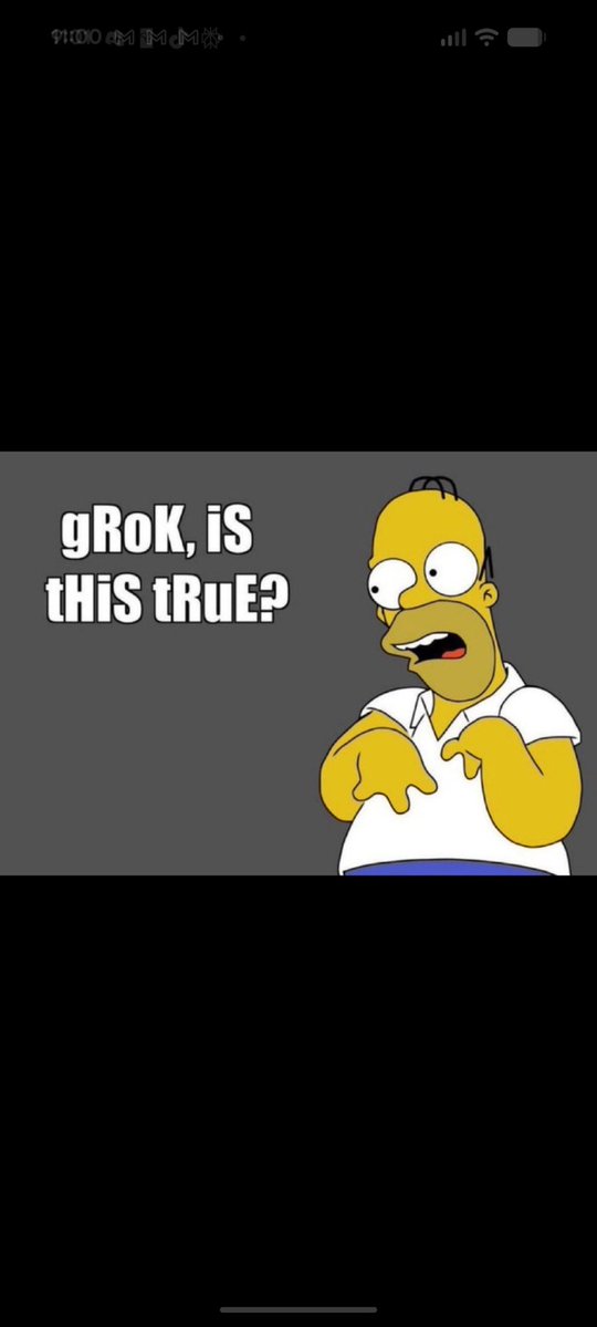 Autochthonomous Machine tweet media