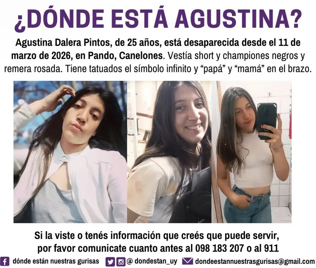 Diego Martini Lemos tweet media