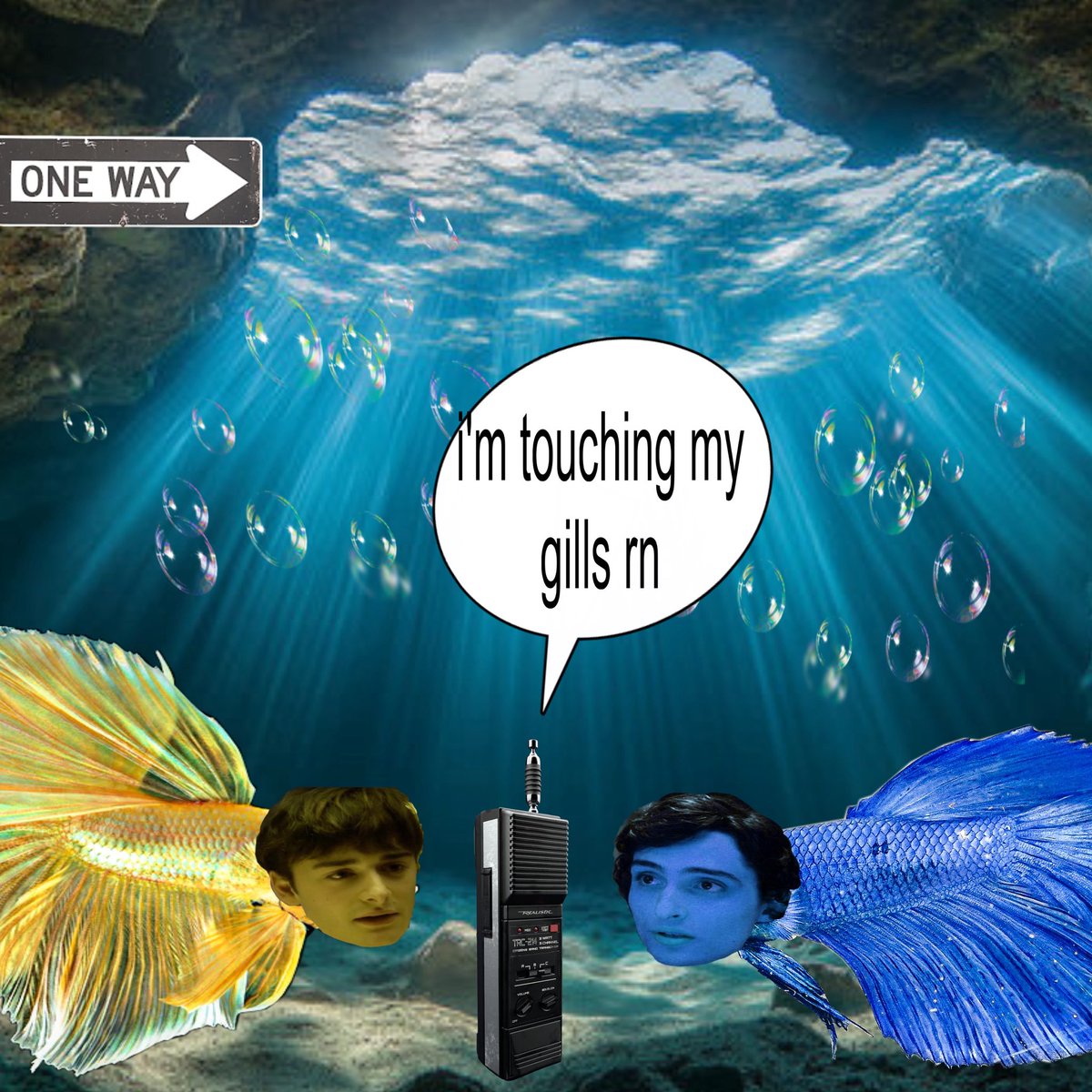 muddy🐠⋆.˚ | bubblernation ceo 🫧 tweet media