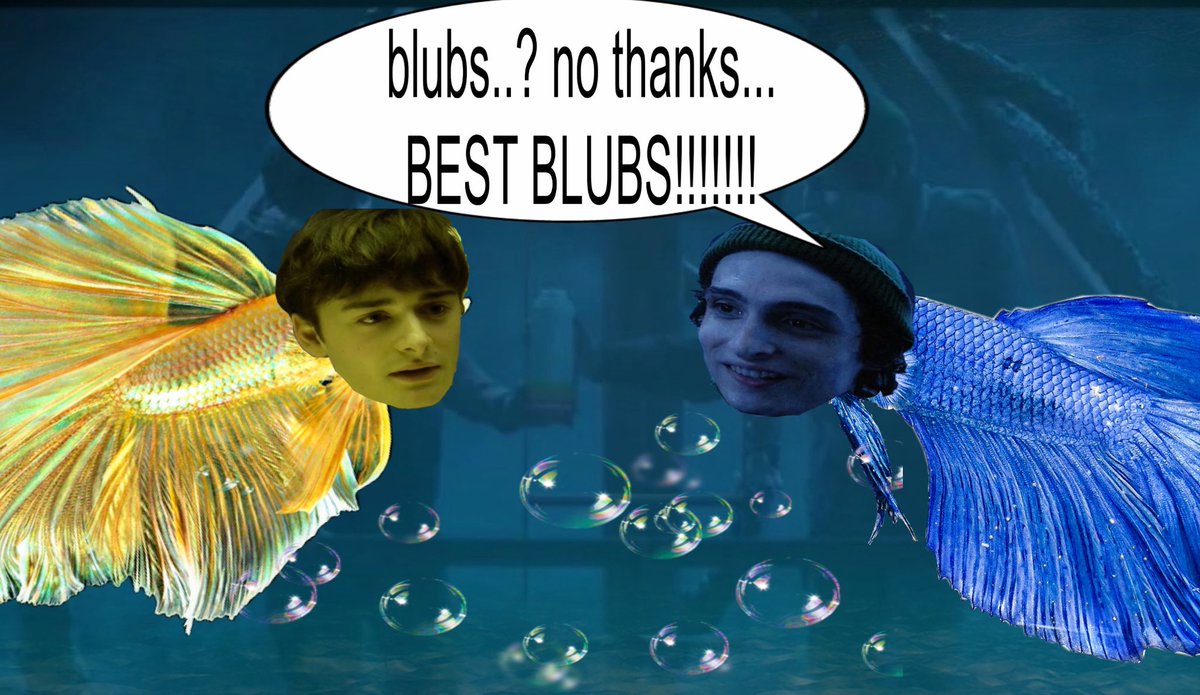 muddy🐠⋆.˚ | bubblernation ceo 🫧 tweet media