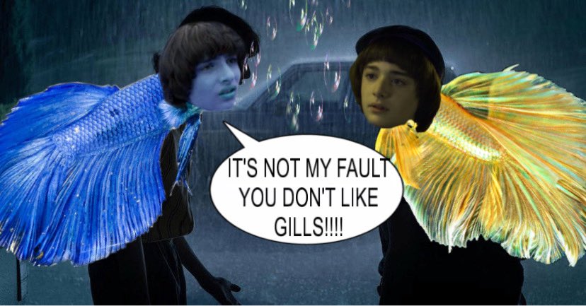 muddy🐠⋆.˚ | bubblernation ceo 🫧 tweet media