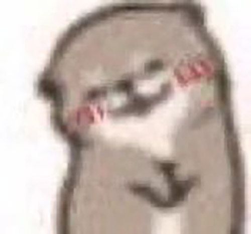 fran៹ IN RIO tweet media