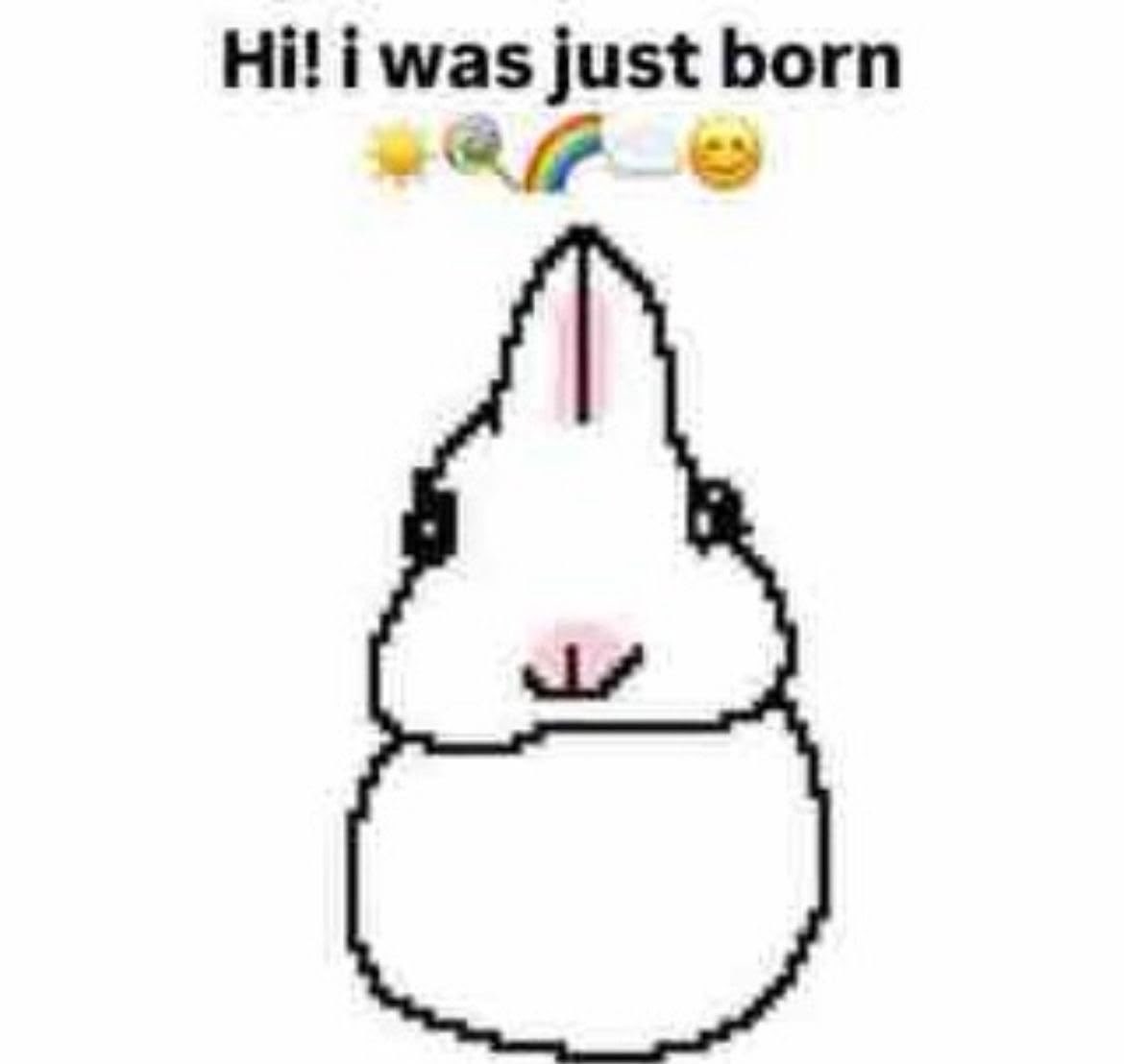 𓏼 luciel ᘏ⑅ᕱྀི◞ tweet media