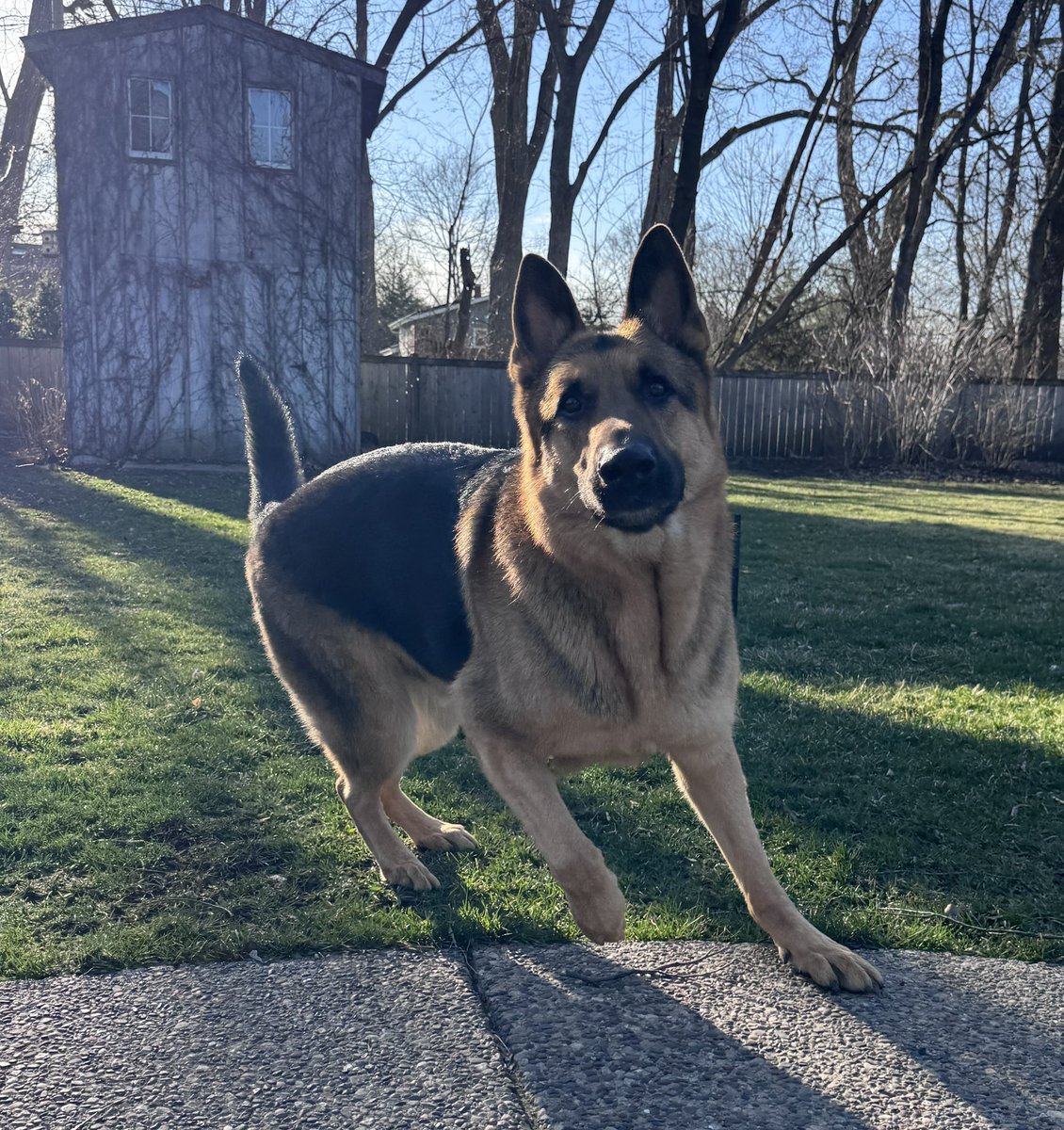 Rocky Stone tweet media