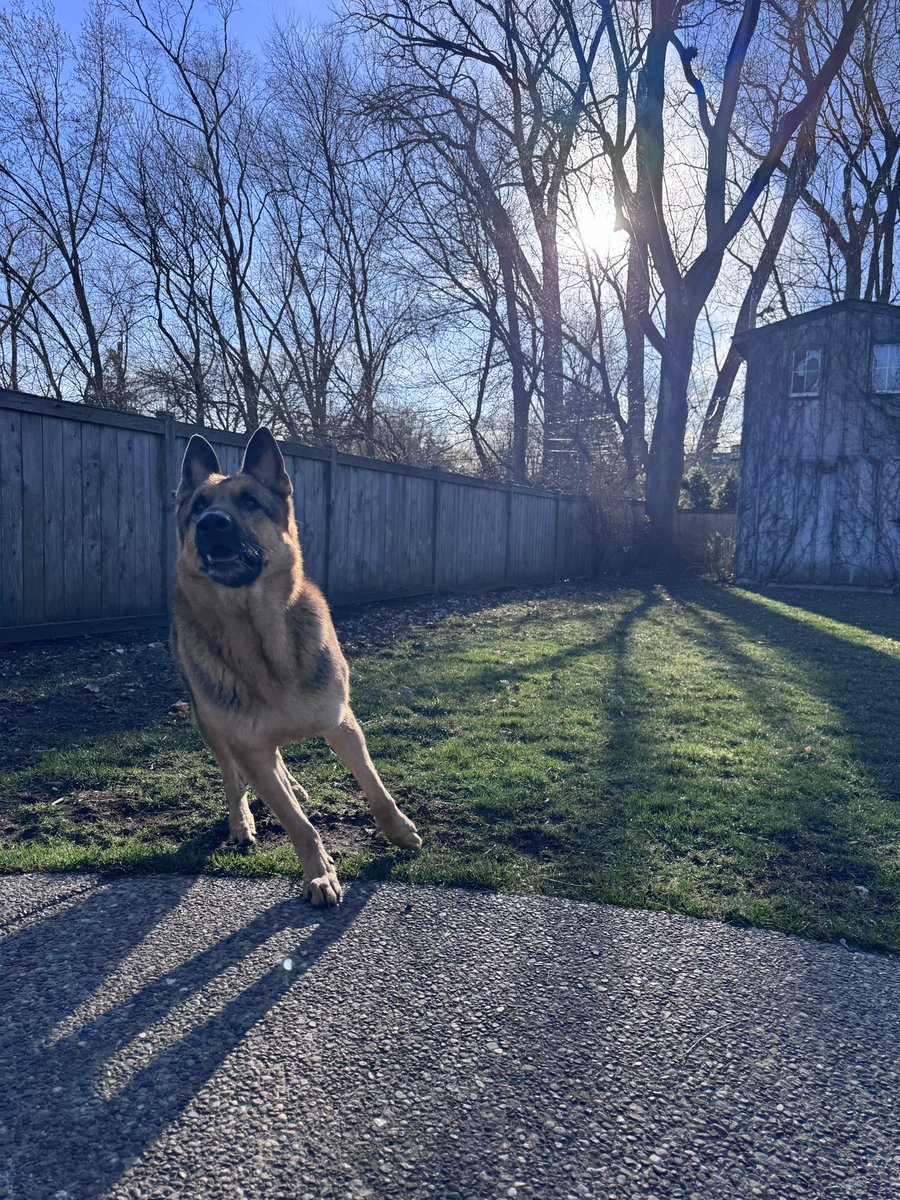 Rocky Stone tweet media