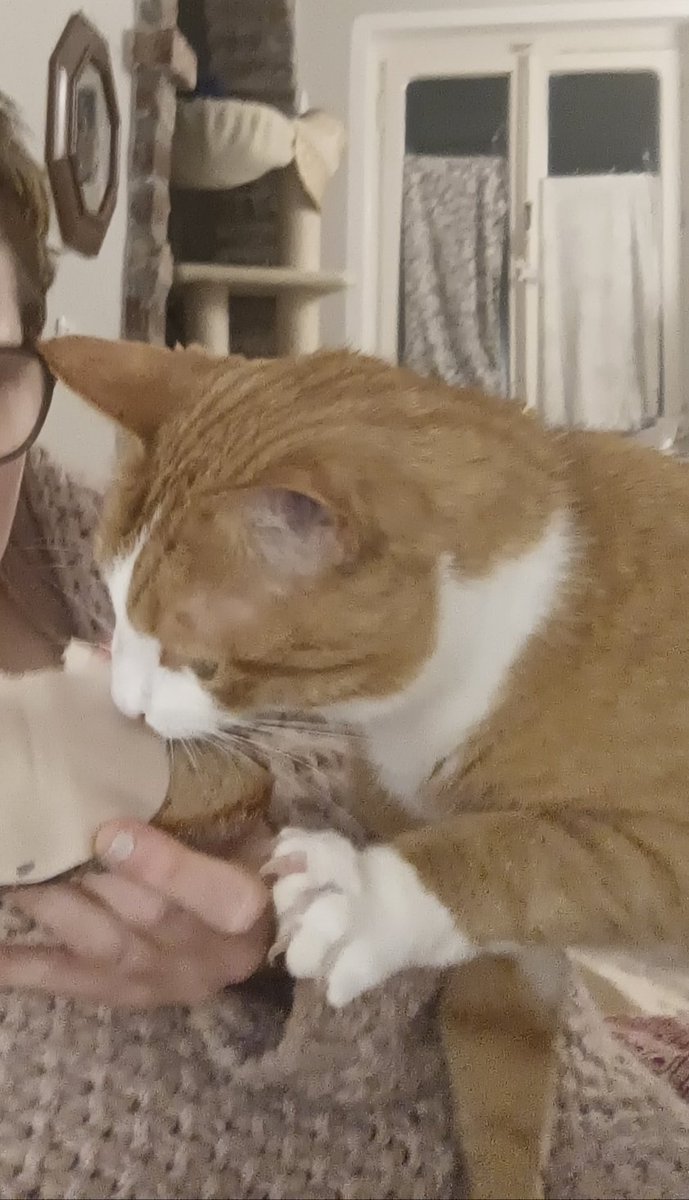 𓊆꒰১ morb ໒꒱𓊇 tweet media