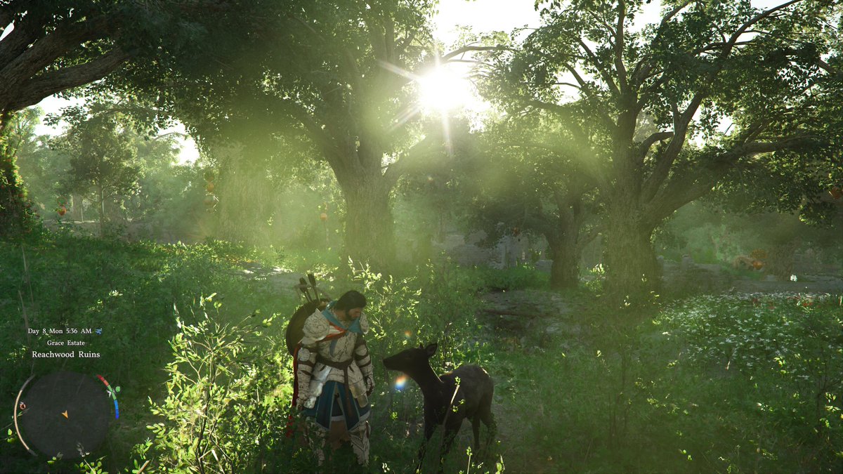 xᴇʟ 🩵🗡 tweet media