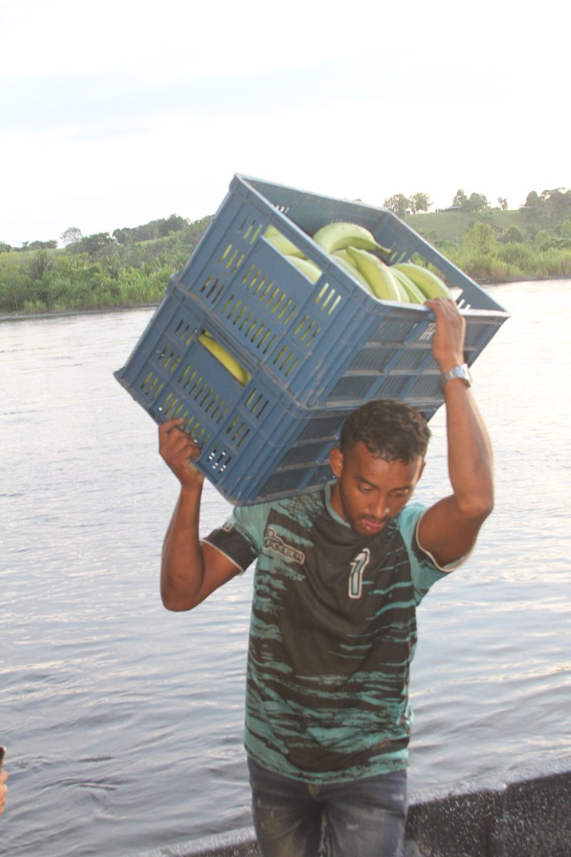 Construyendo Región tweet media