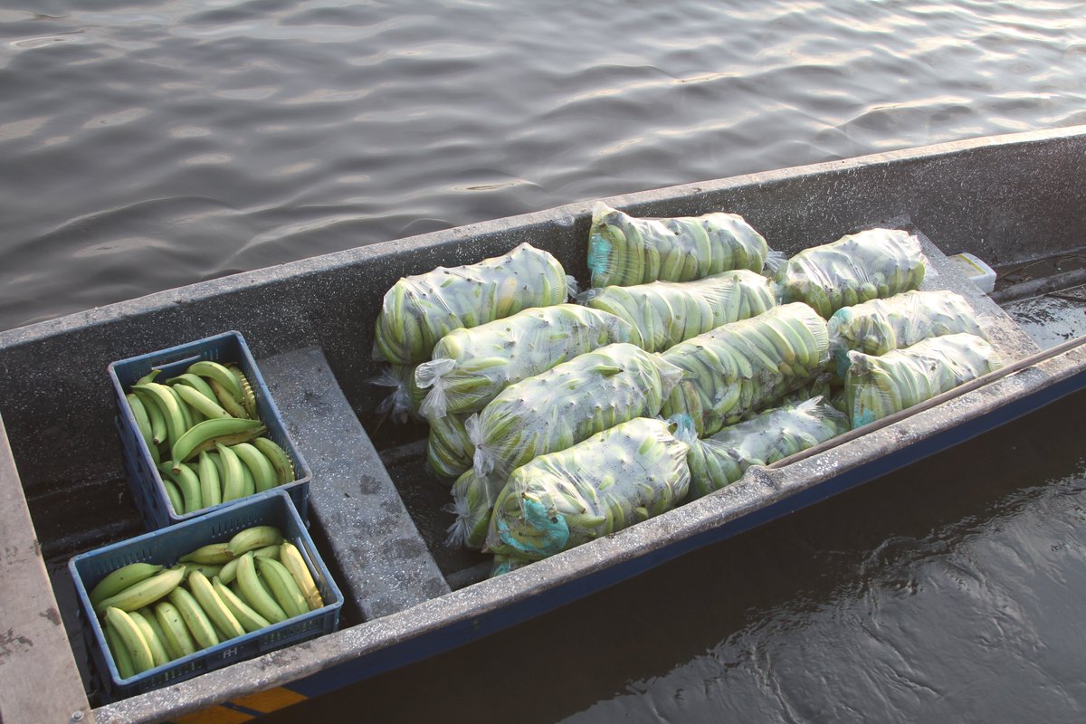 Construyendo Región tweet media