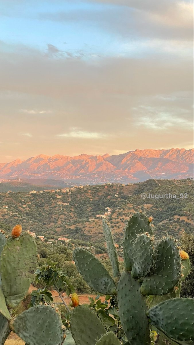 ⵎⵉⵙ ⵏ ⵜⵎⵓⵔⵜ tweet media