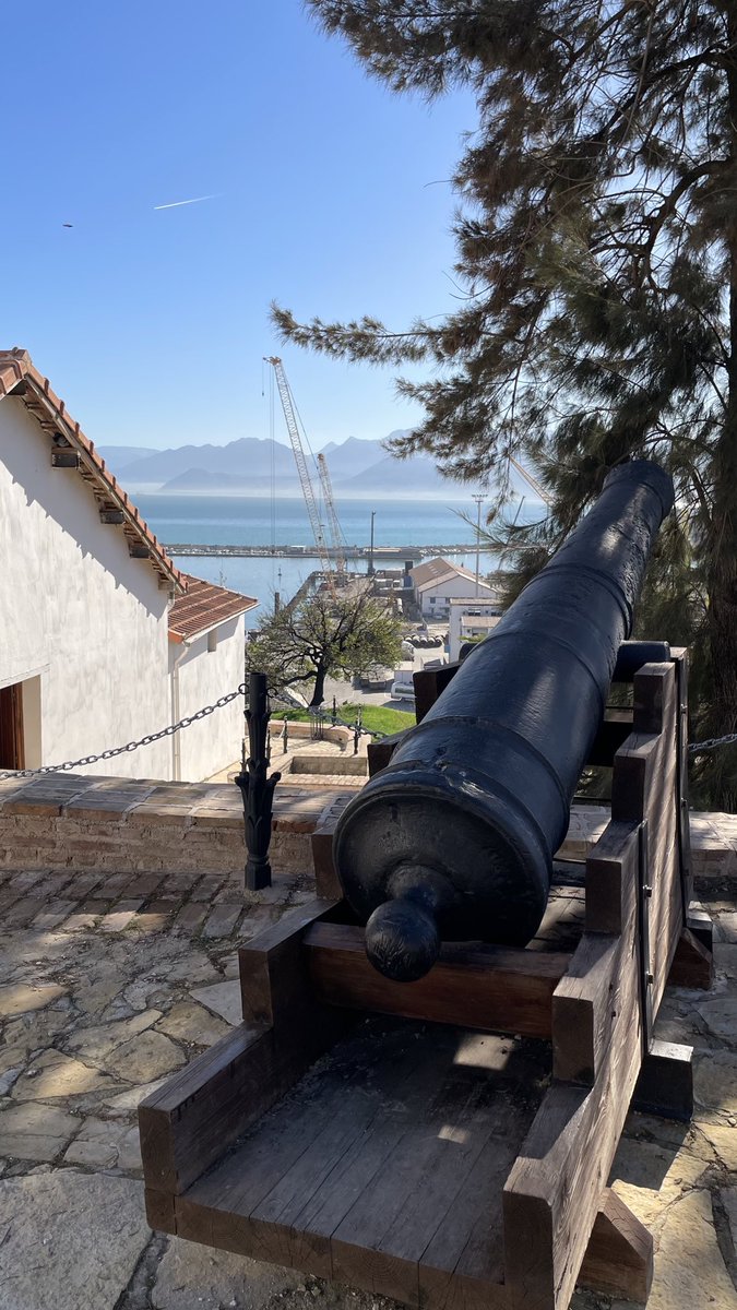 ⵎⵉⵙ ⵏ ⵜⵎⵓⵔⵜ tweet media