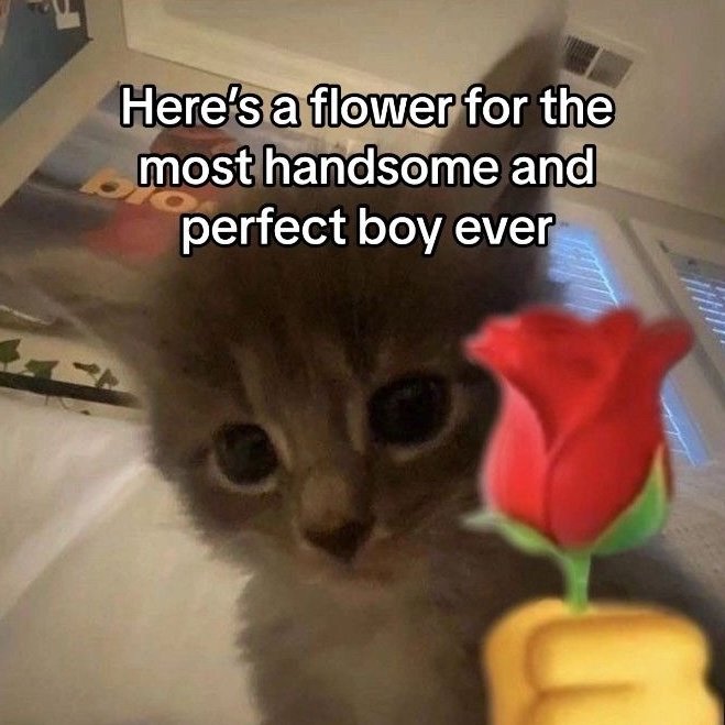 𝑻𝐇𝐄𝐎 ֶָ֪ tweet media