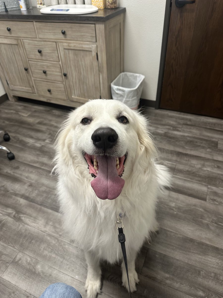 💯Generic Suburban Dad💯 tweet media