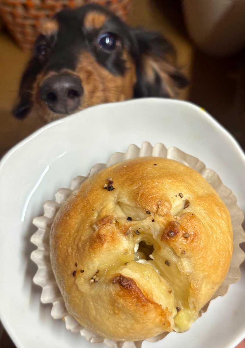 ぱん屋さんのランダム便🥯
自分が選ばないパンがたくさんで嬉しい♡
なに食べてもおいしいから幸せ
