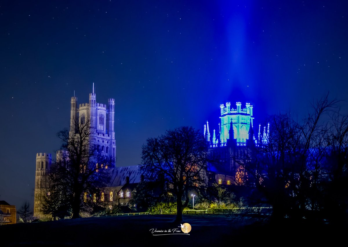 Veronica in the Fens 🧚🏼‍♀️ My Heart in Nature tweet media