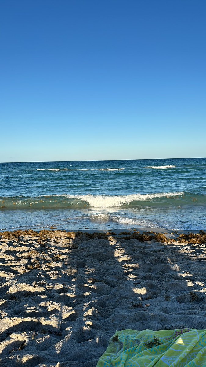 g̵̠͕̭͗́̑͛o̷̫̘͋̄̔̈ͅr̴̛͕̠̃̄e̴̺͚̗̅́̍🎺 tweet media