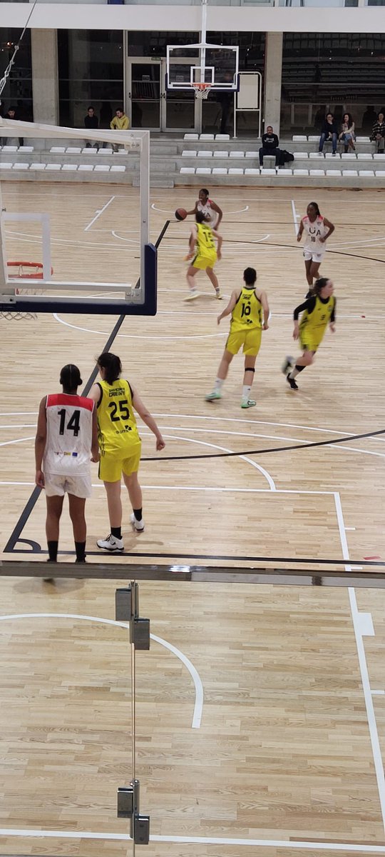 CD ADESAVI tweet media