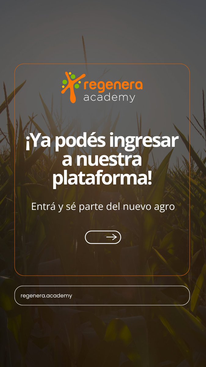 Lucas Andreoni tweet media