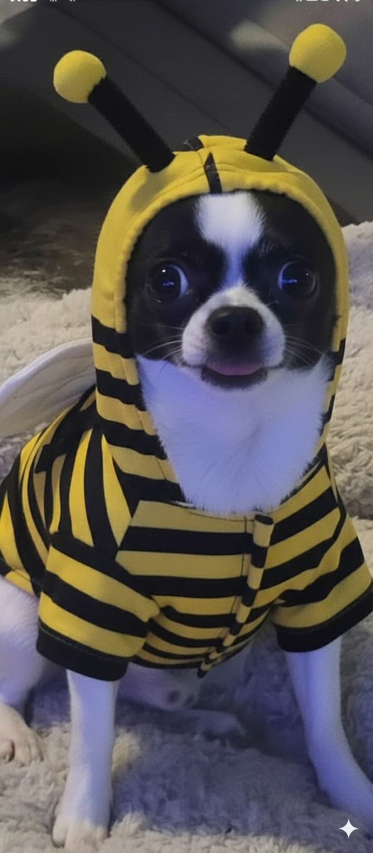 ItsMeGina🏳️🌈👽🍪💀🦿 tweet media