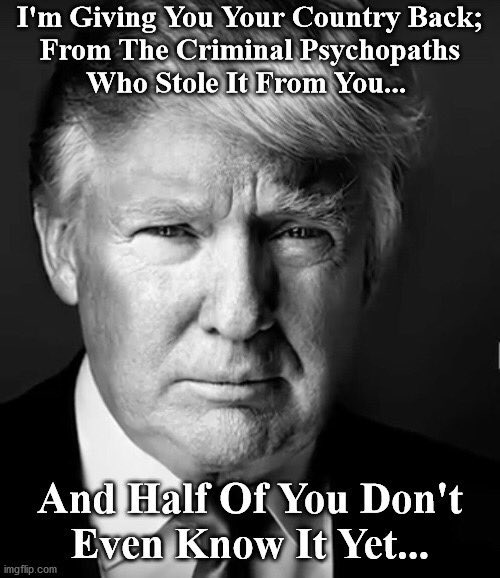 Elizabeth tweet media