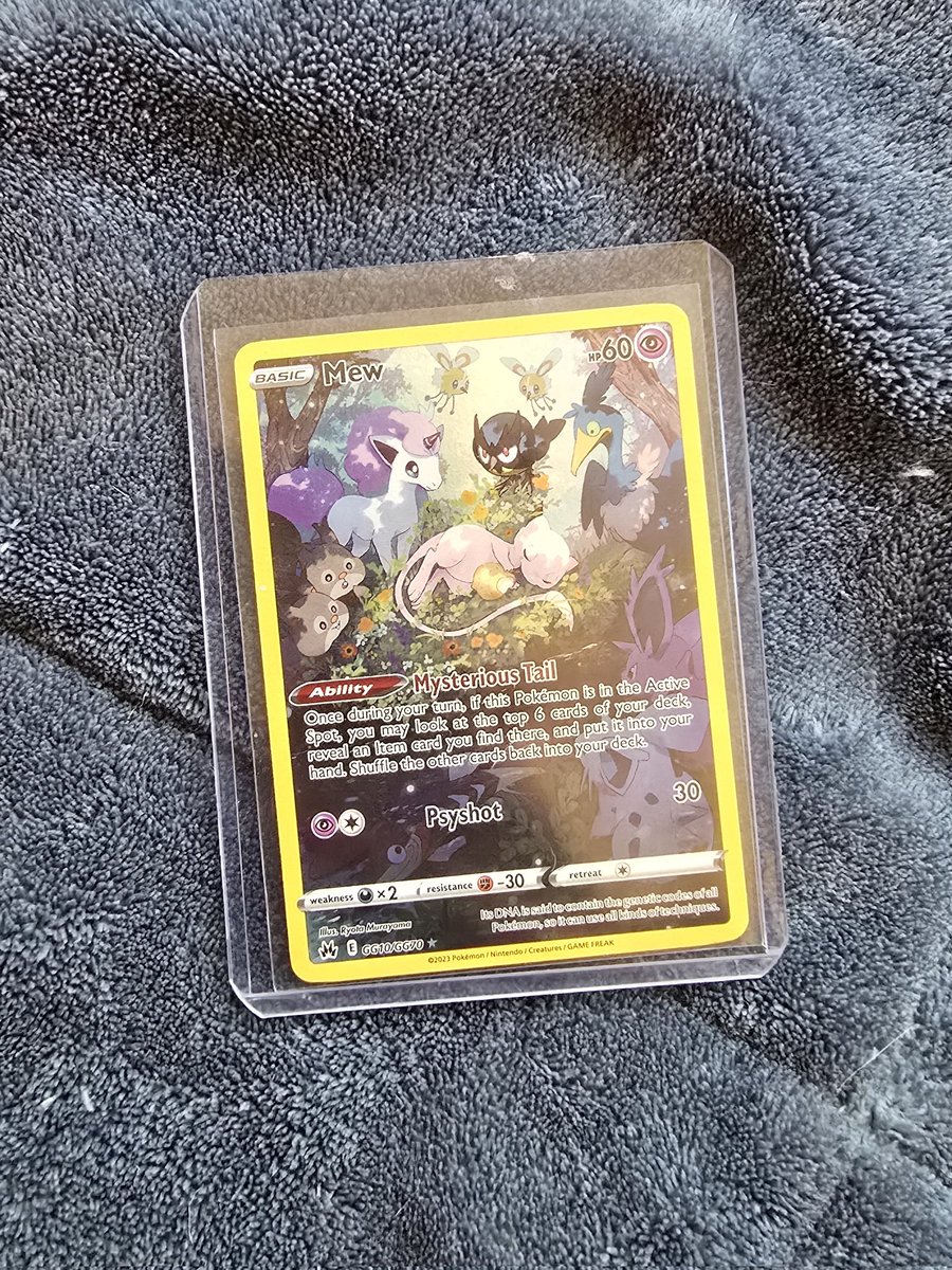 Bumble🇳🇿 tweet media