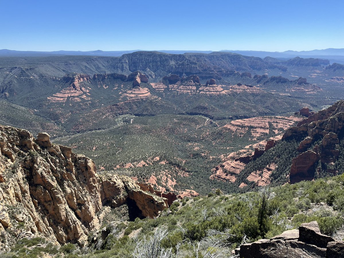 Eric 🇺🇸🌵🌲 tweet media