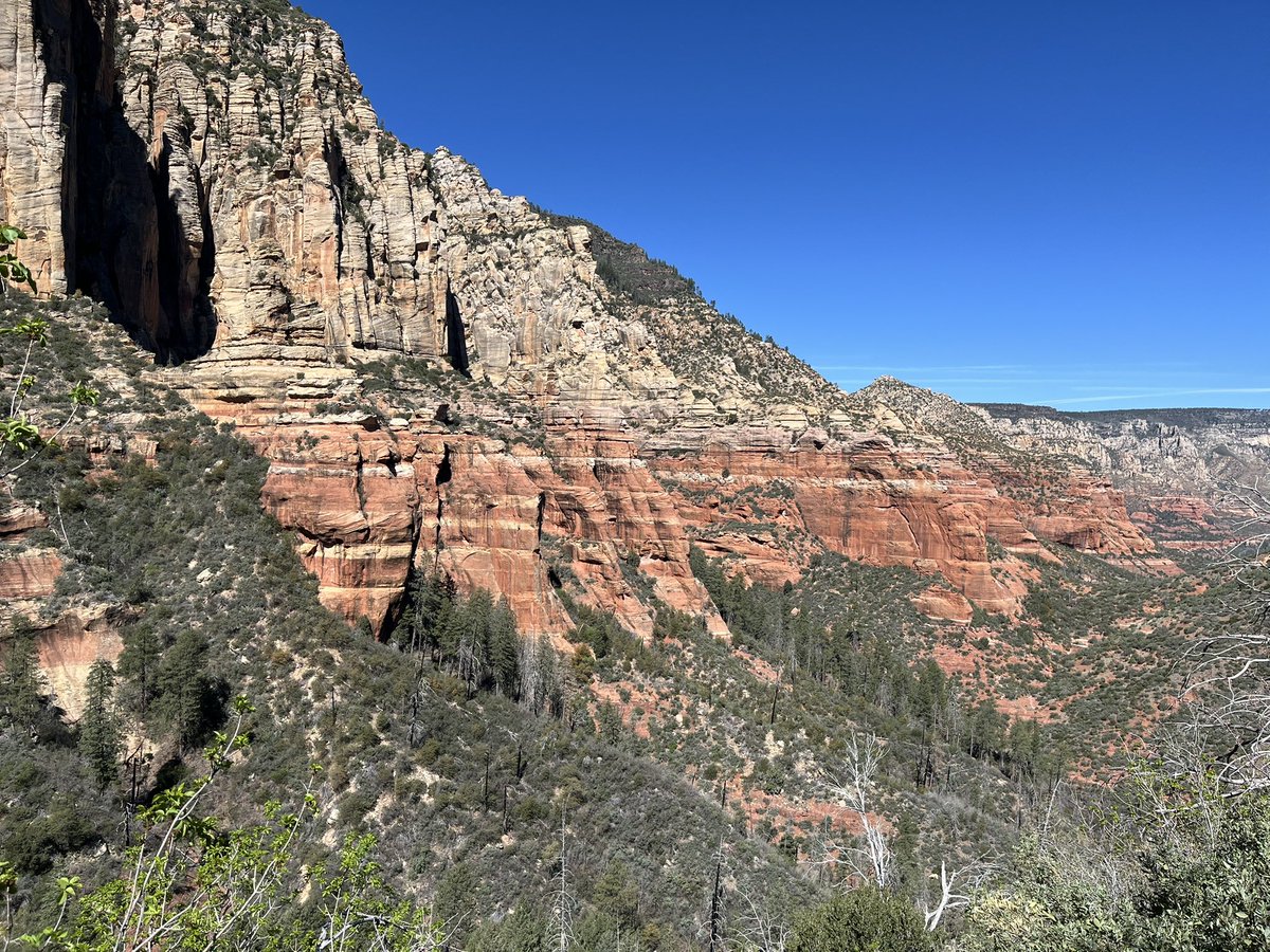 Eric 🇺🇸🌵🌲 tweet media