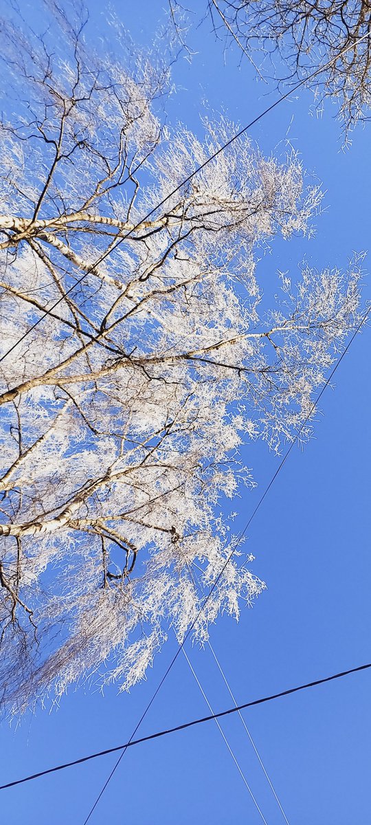 Ingmāra Balode tweet media