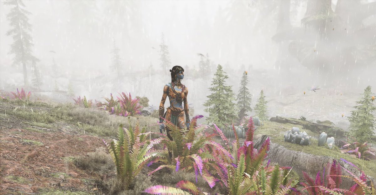 - cha ✧ tweet media