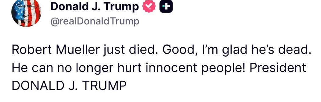 Marco Mout tweet media