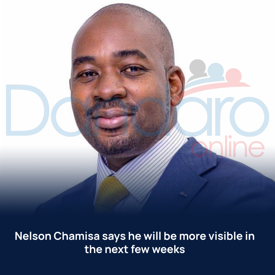 Dandaro Online tweet media