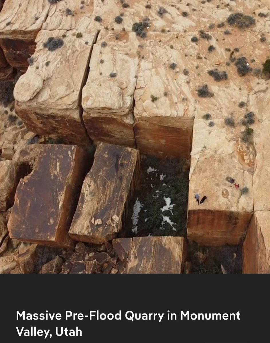 Micke ⬜ tweet media