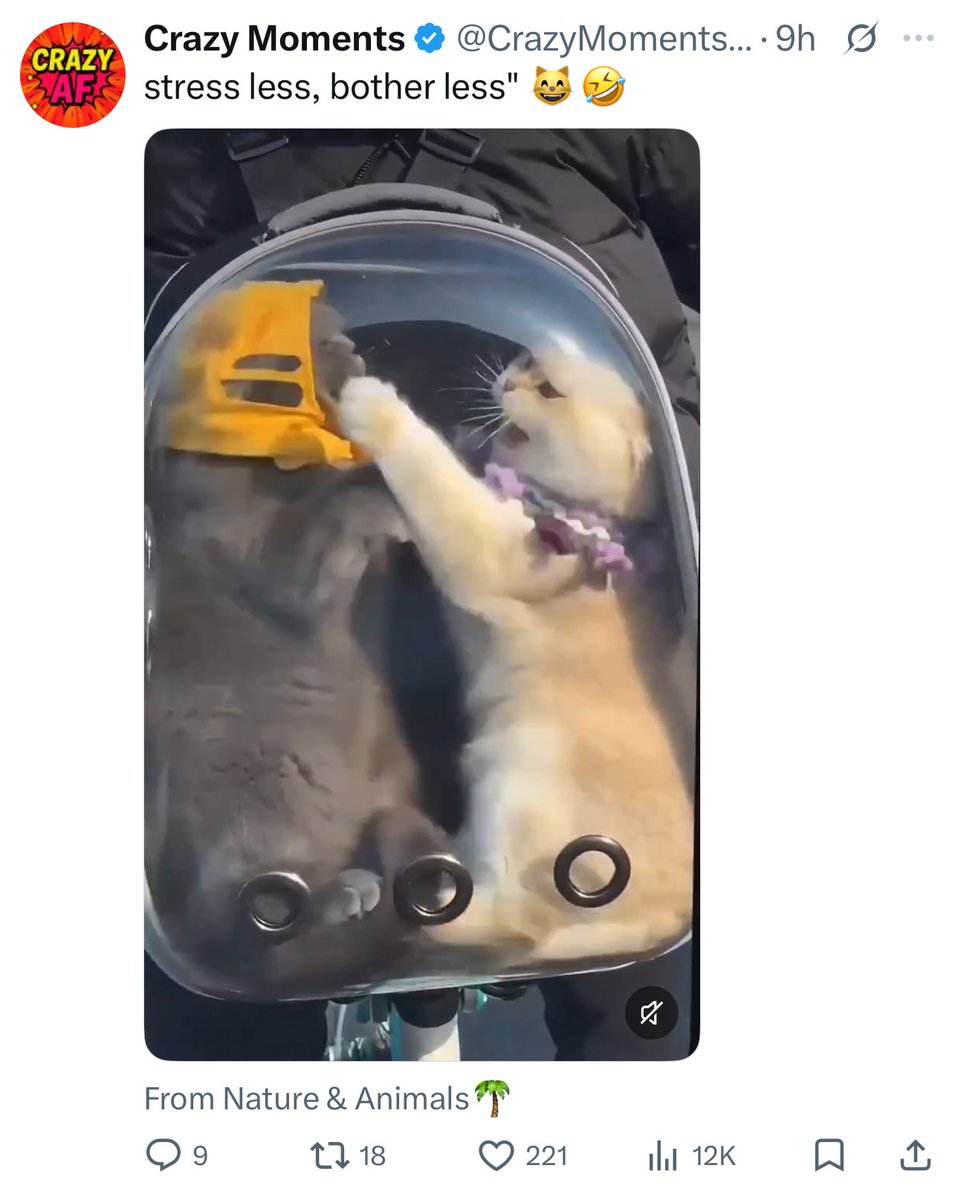 not sofie tweet media