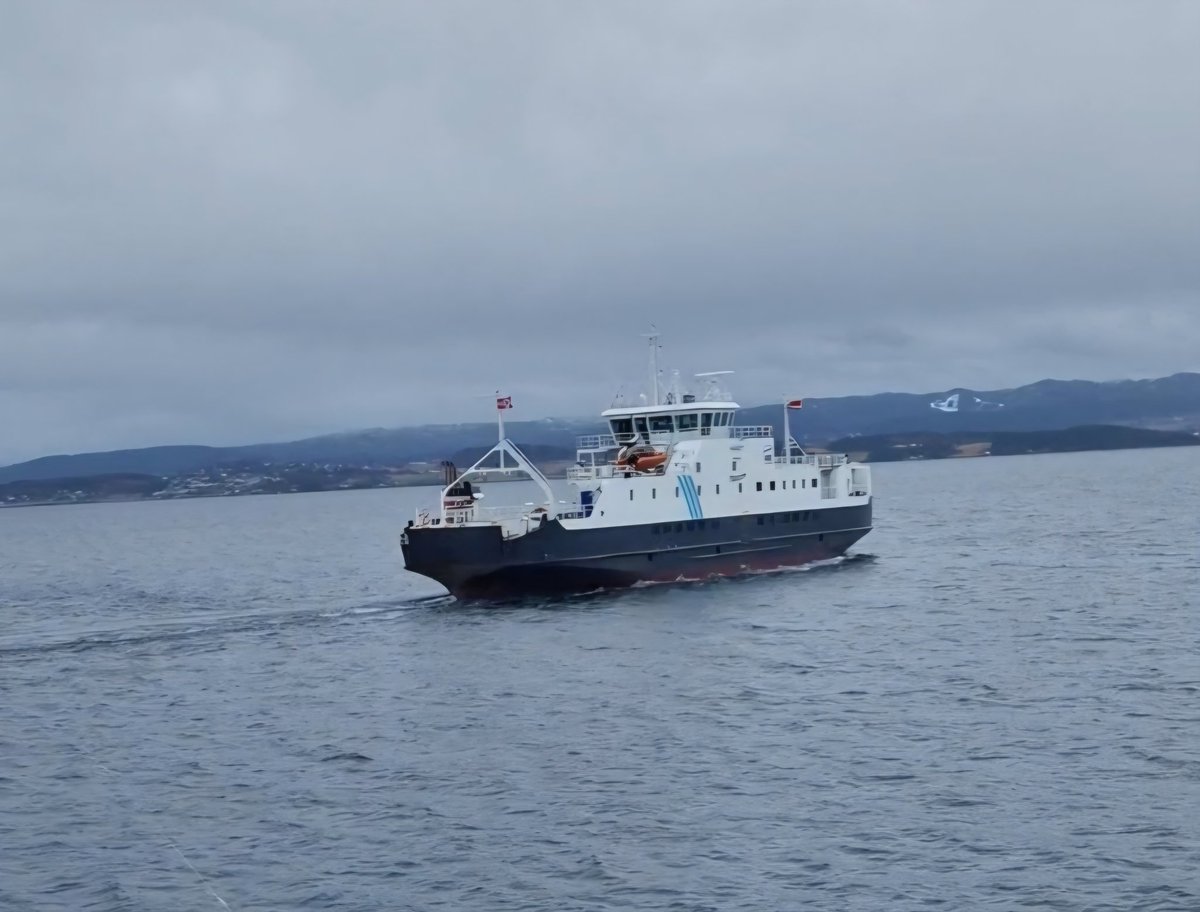 Sand ❤️ 🏳️🌈 tweet media