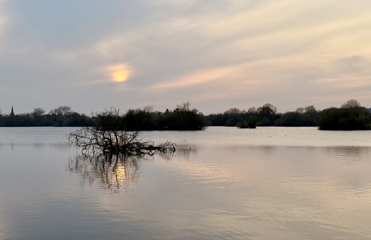 Matt Ashby tweet media