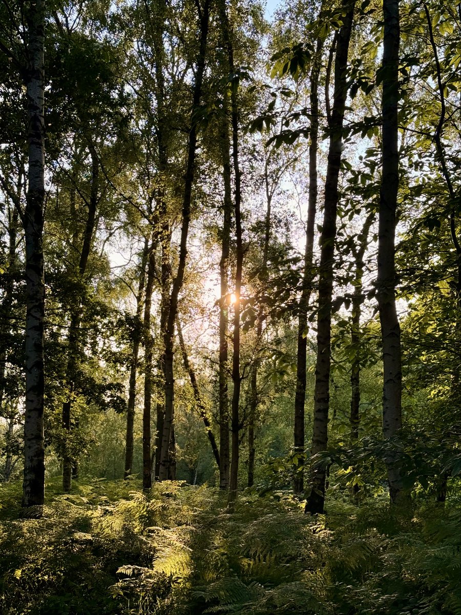 Matt Ashby tweet media