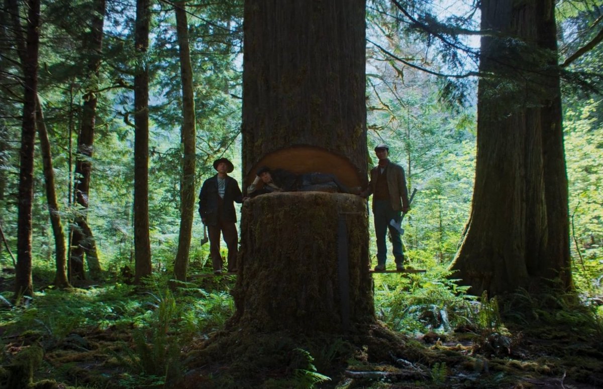 Ibrahim Oga tweet media