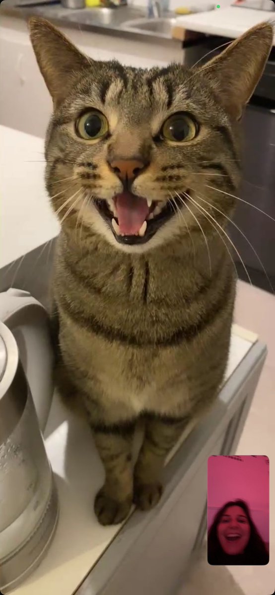 sarah 𓂀 tweet media