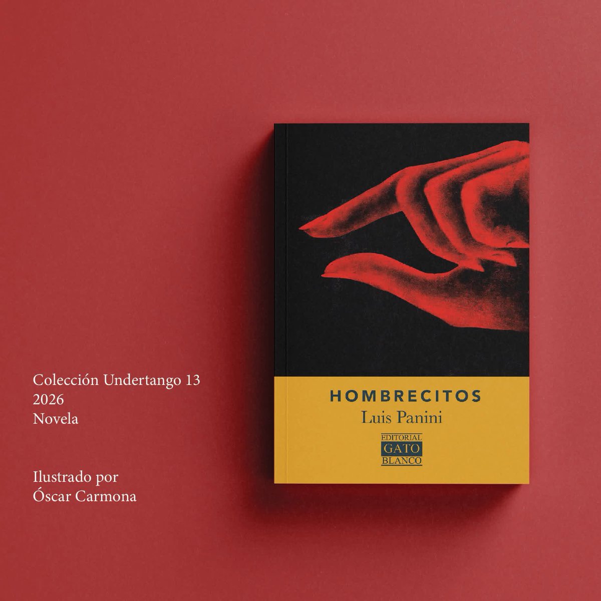 Luis Panini tweet media