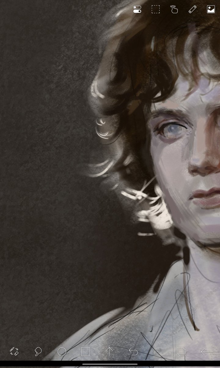 _lukavyi's tweet image. Wip

His angelic eyes...
#frodo #lordoftherings #art