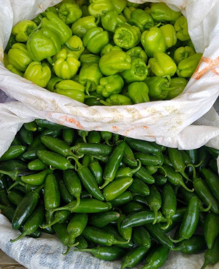 VIRAL VIBSE tweet media