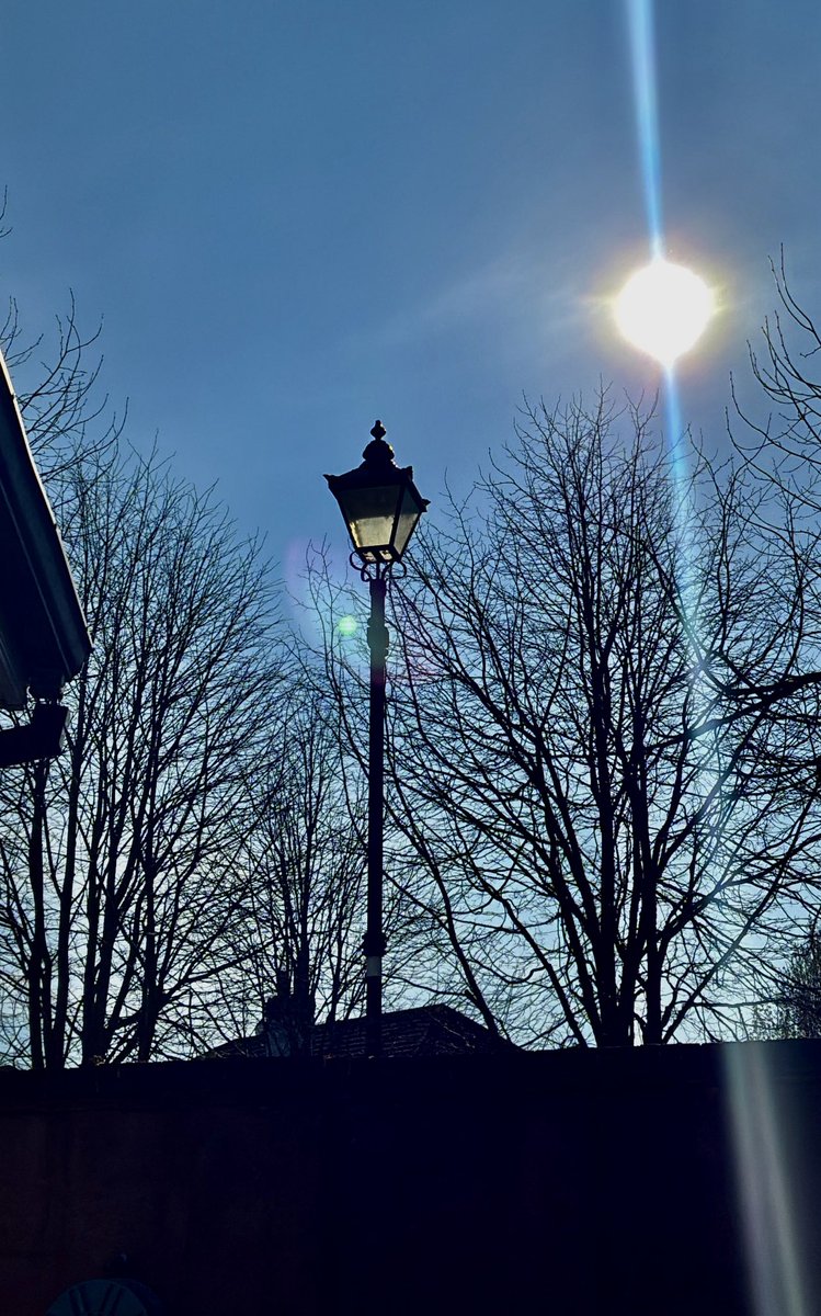 Denise Connolly Geraghty tweet media