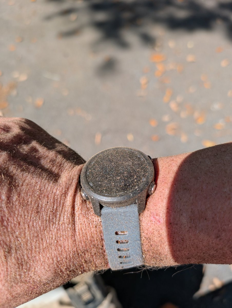 eggplantsniper tweet media