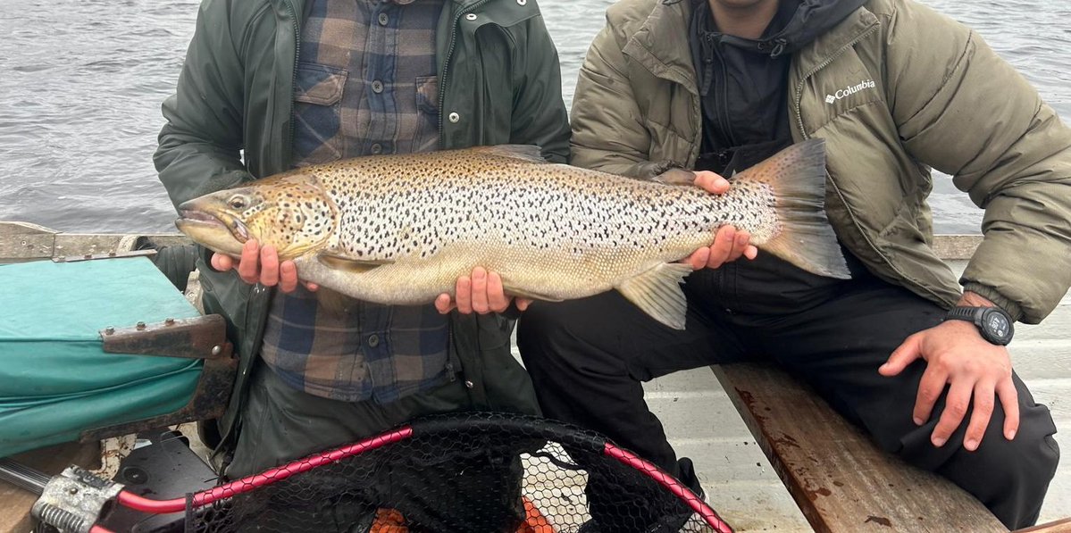 LevenStevens tweet media