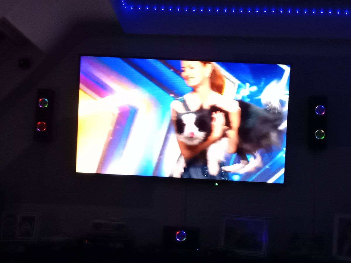TrevCampbell's tweet image. Wow a dancing dog on #BGT @BGT brilliant 👏