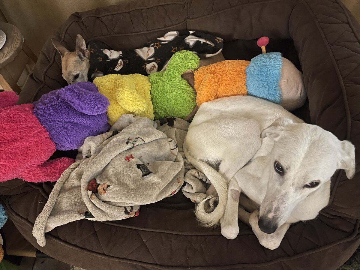 Kai 🌈& Co tweet media