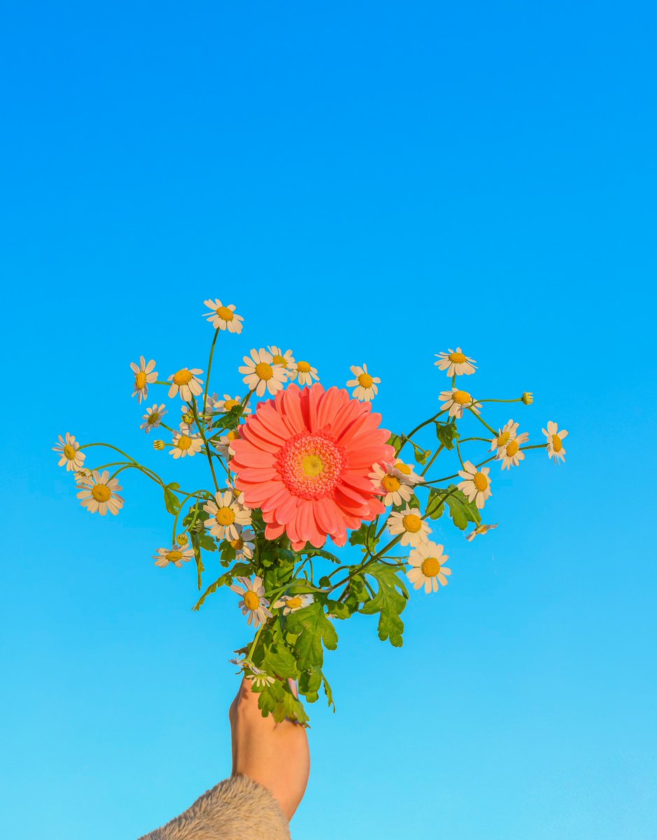 Purely Green tweet media