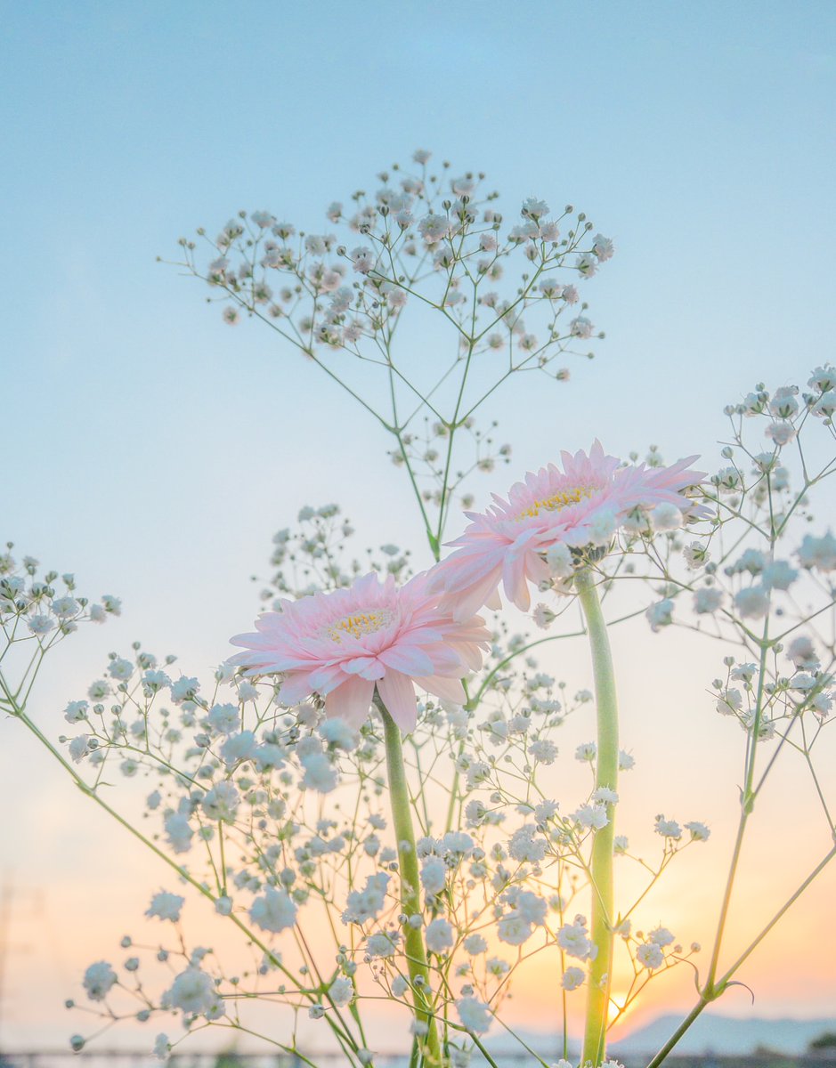 Purely Green tweet media